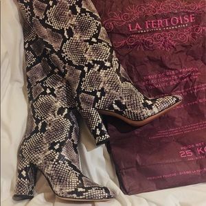 Winter black & white Glory